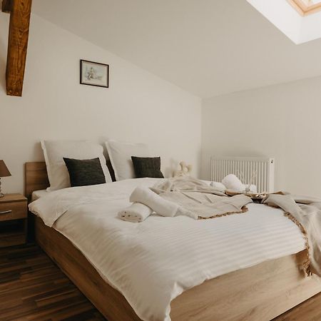 Holiday Apartments Central Τιμισοάρα Εξωτερικό φωτογραφία