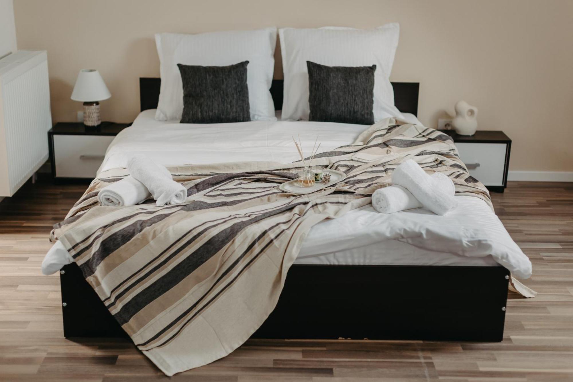 Holiday Apartments Central Τιμισοάρα Εξωτερικό φωτογραφία